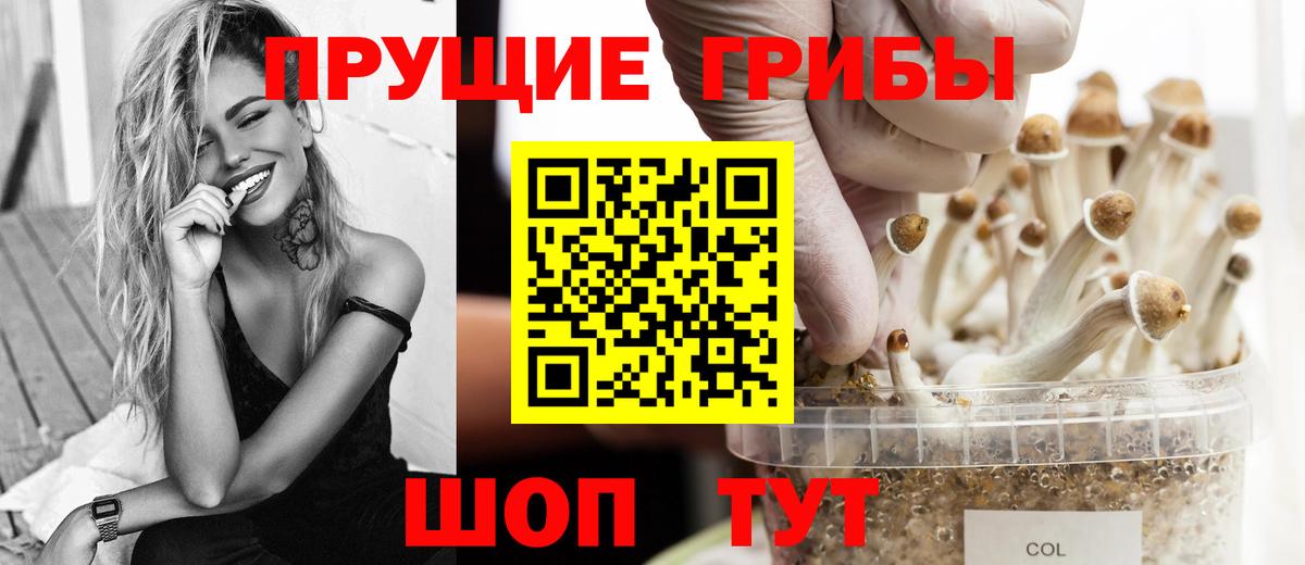 Галлюциногенные грибы мухоморы Сокол